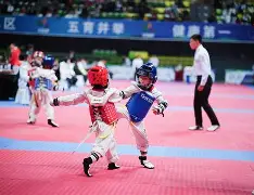 跆拳道附加赛焦点战：祁连天狼队翻盘瓯越白虎队，外线火力全开。二次进攻频频奏效(2025全国跆拳道锦标赛回放视频全部)-开云娱乐入口