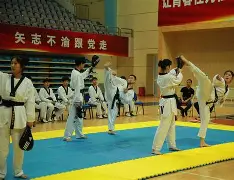 跆拳道附加赛焦点战:祁连天狼队翻盘瓯越白虎队,外线火力全开。二次进攻频频奏效(2025全国跆拳道锦标赛回放视频全部)-开云娱乐入口